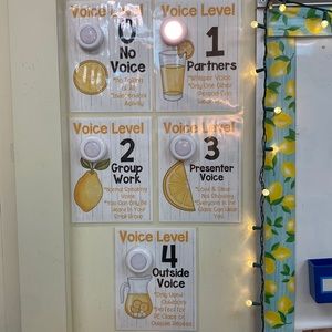 Classroom Voice Level Control